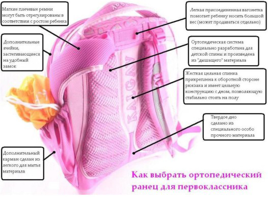 Как выбрать ортопедический рюкзак (схема)