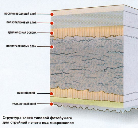 Структура слоёв фотобумаги